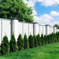 Nowy, biały płot z kolumnami i żywopłotem z tuj. Czy można postawić płot w granicy bez zgody sąsiada?