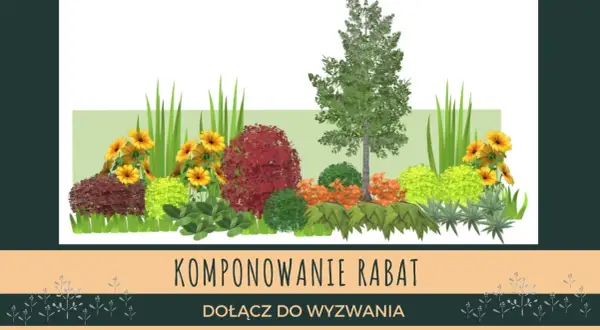 Inspiracja do stworzenia pięknych rabat. Kompozycje roślinne z drzewem, krzewami i kwiatami.