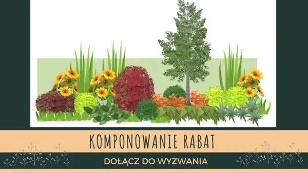 Inspiracja do stworzenia pięknych rabat. Kompozycje roślinne z drzewem, krzewami i kwiatami.